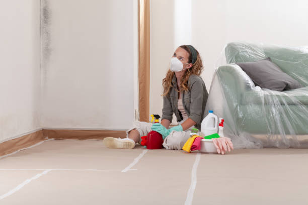 Reliable Crawl Space Mold Remediation contractor in Burlington, NJ by Mold Remediation HQ